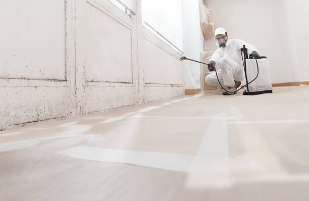 24/7 Emergency Black Mold Remediation experts in Antioch, TN