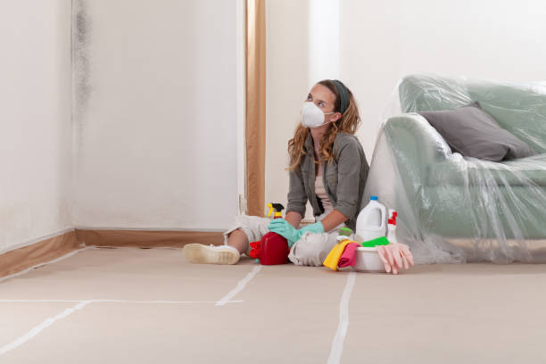 Reliable Black Mold Remediation contractor in Antioch, TN by 24 Hour Mold Removal
